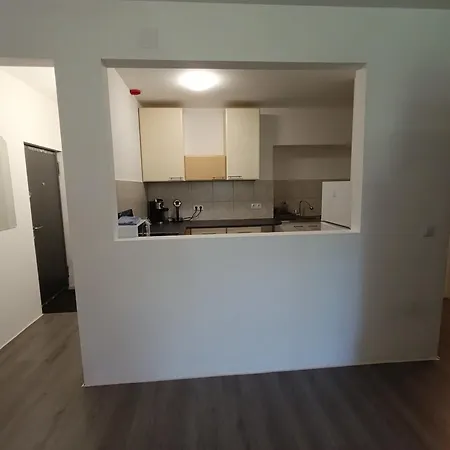 Ruhige Appartamento Oberlungitz